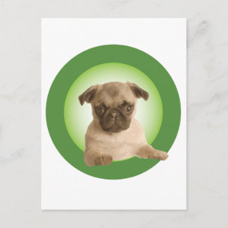 NIPRA Apparel Postcard