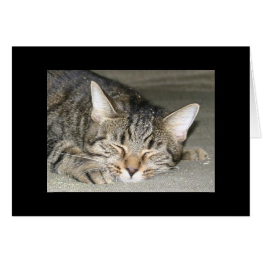 Nirvana (Front Horizontal)