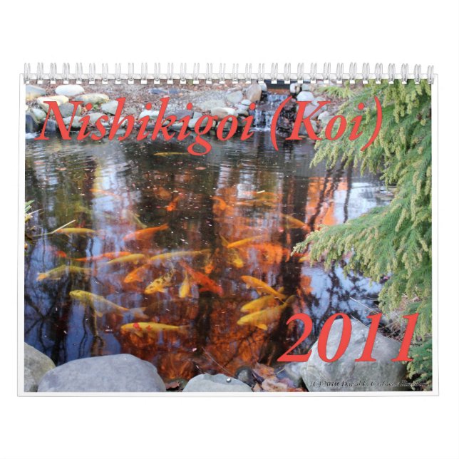 Nishikigoi (Koi) Calendar, 2011 Calendar (Cover)