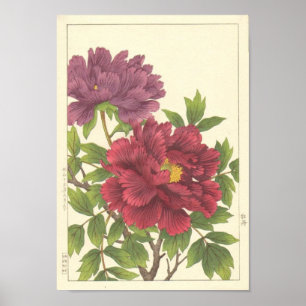 Nishimura Hodo Peony Japanese Flowers Fine Art Poster