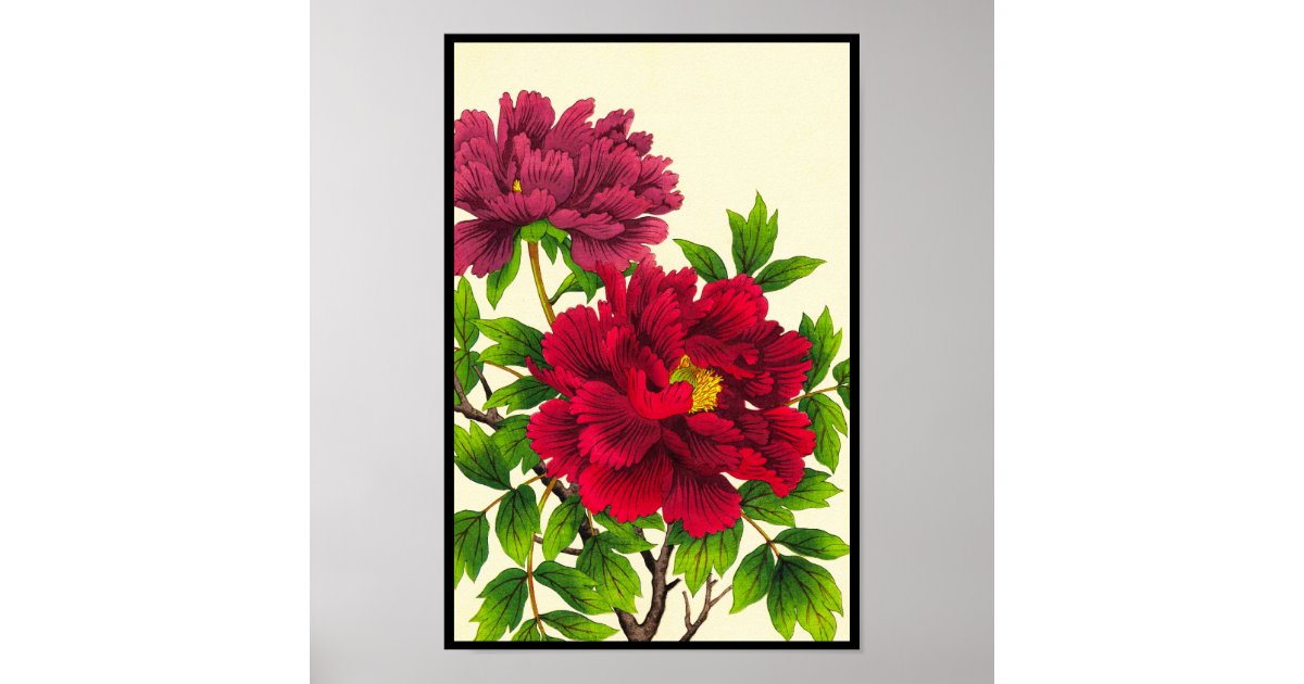 Nishimura Hodo Peony japanese flowers fine art Poster ...
Peony Japanese Art