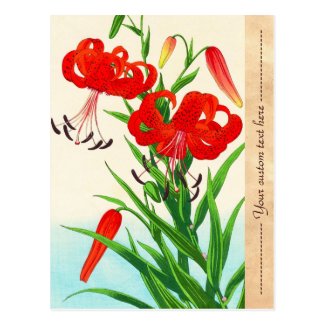 Nishimura Hodo Tiger Lilies shin hanga flowers Postcard