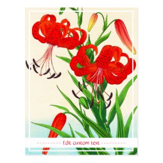 Nishimura Hodo Tiger Lilies shin hanga flowers Postcard