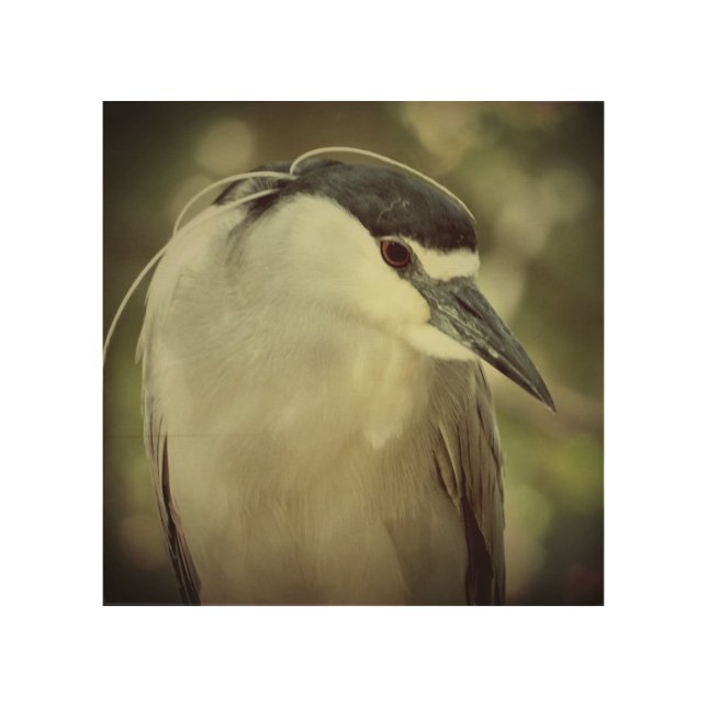 NITE  HERON BIRD Wood Wall Art (Front)