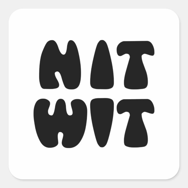 NITWIT SQUARE STICKER (Front)