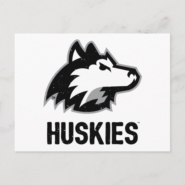 NIU Huskies Distressed Postcard (Front)