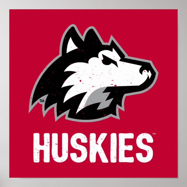 NIU Huskies Distressed Poster (Front)