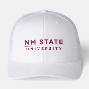 NM State University