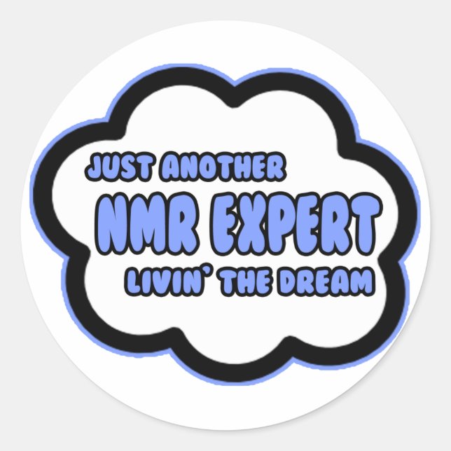 NMR Expert .. Livin' The Dream Classic Round Sticker (Front)