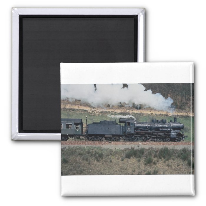 No. 038, 553 4 on Hausach to Freudenstadt train, G Fridge Magnet