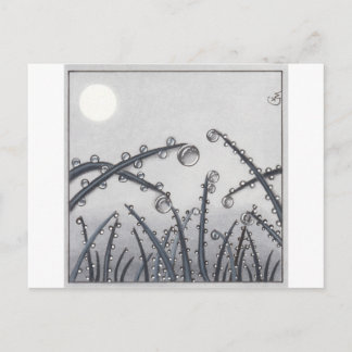 No. 33 Morning Dew Postcard