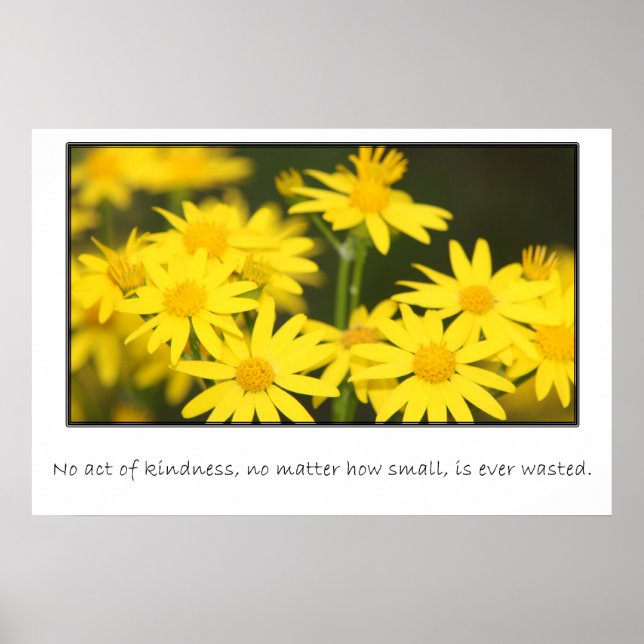 No act of kindness is ever wasted poster (Front)