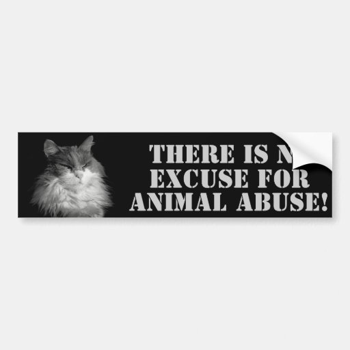 NO Animal Abuse No Excuses Bumper Sticker | Zazzle