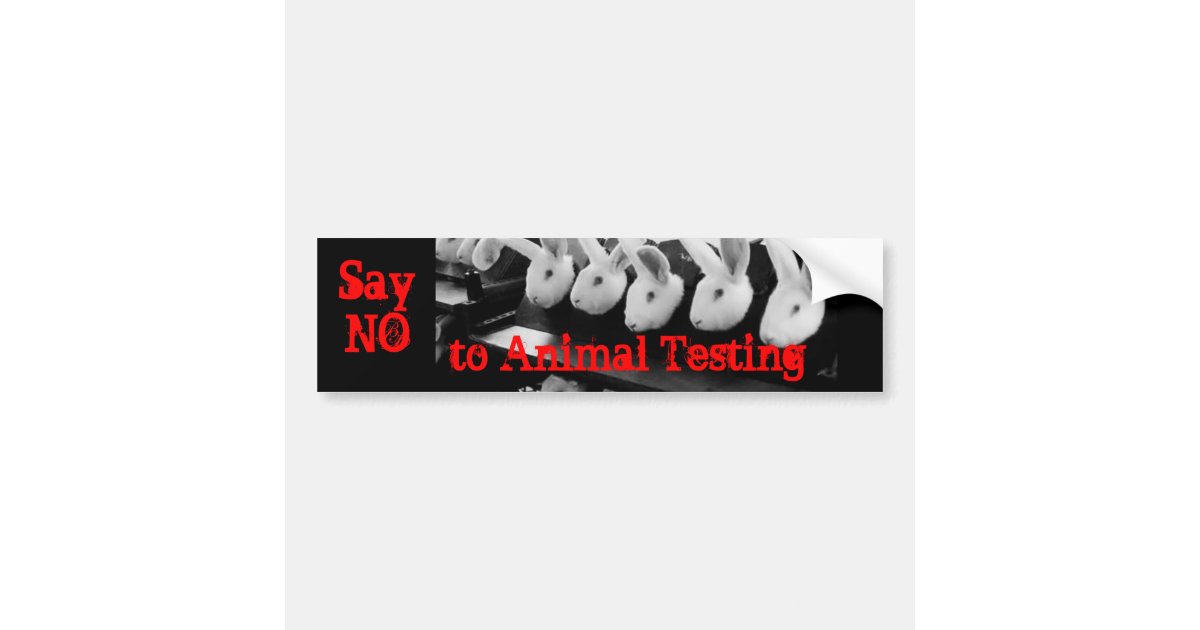 No Animal Testing Stickerrs No Animal Testing car sticker | Zazzle