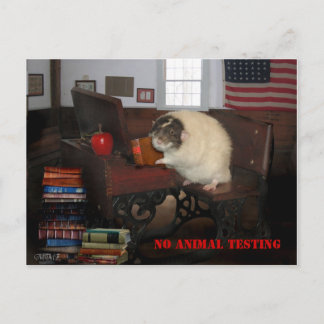 No Animal Testing Postcard