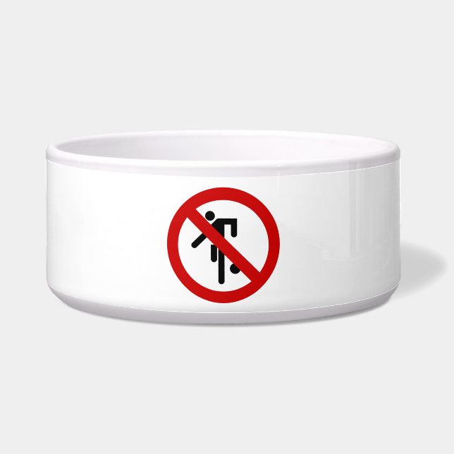 NO Ball Games ⚠ Thai Park Sign ⚠ Bowl (Front)