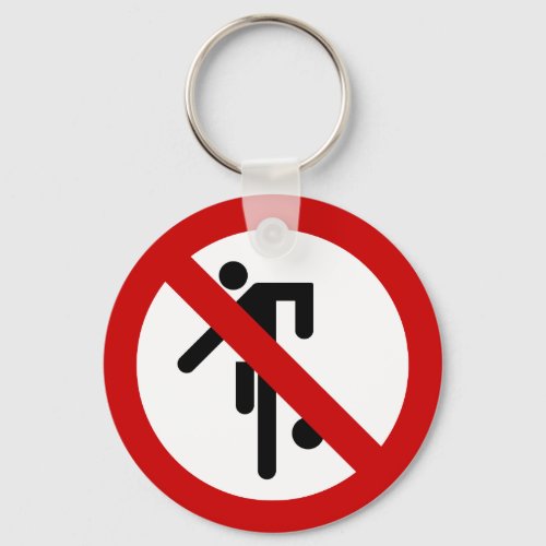 NO Ball Games  Thai Park Sign  Keychain