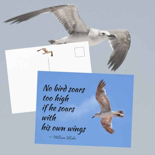 No Bird Soars Too High Quote Seagull in Flight Postcard
