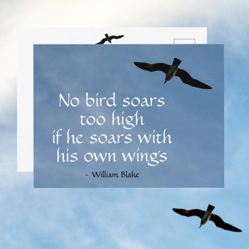 No Bird Soars Too High Quote Seagull in Flight Postcard