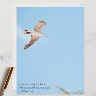 No Bird Soars Too High Seagull Scrapbook Paper