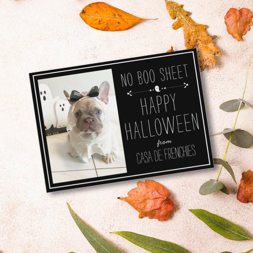 No Boo Sheet  Halloween Photo  Holiday Card