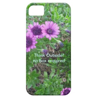 No Box Required Phone Case iPhone 5 Covers