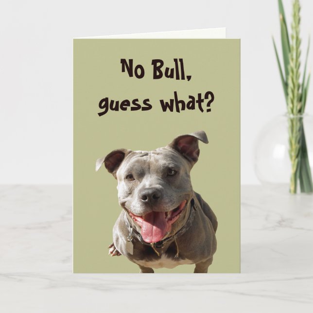 No Bull Very Best Friend Card (Front)