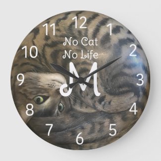 No Cat No Life