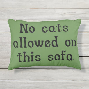 No Cats Allowed on this Sofa Outdoor Pillow
