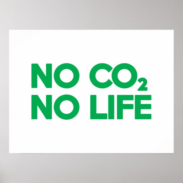 NO CO2 NO LIFE POSTER