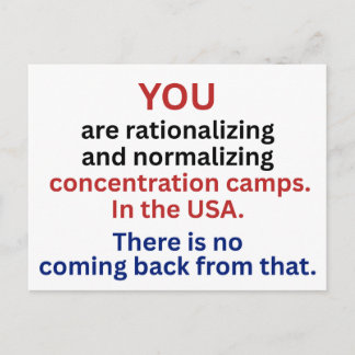 No Concentration Camps ICE Out Postcard