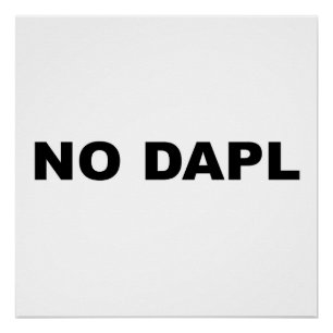 NO DAPL Protest Sign