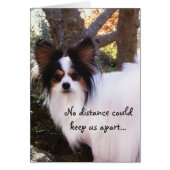 NO distance could keep us apart Papillon Card (Front)