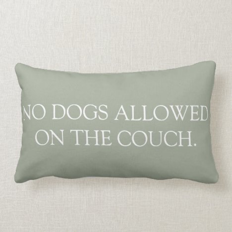 No Dogs Allowed on the Couch lumbar pillow. Lumbar Pillow
