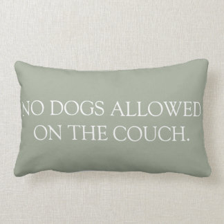 No Dogs Allowed on the Couch lumbar pillow. Pillow