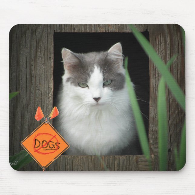 No Dogs Zone  Kitty Mouse Pad (Front)