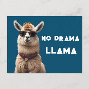 No Drama Llama Cool Alpaca Wear Sunglasses Blue Postcard