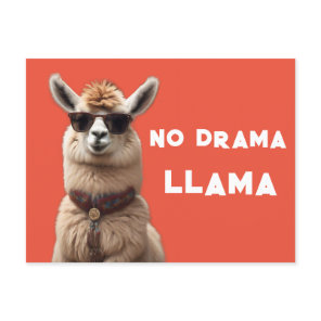 No Drama Llama Cool Alpaca Wear Sunglasses Orange Postcard