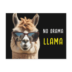 No Drama Llama Cool Alpaca with Sunglasses Funny   Postcard