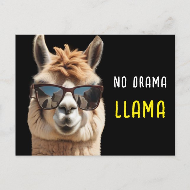 No Drama Llama Cool Alpaca with Sunglasses Funny   Postcard (Front)