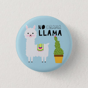 No drama llama cute fiesta succulents cactus blue button