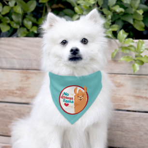 No Drama Llama (Warm) Teal Pet Bandana Collar