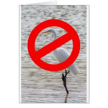 No Egrets