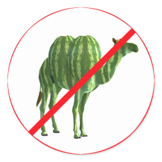 No Entrance for Melon Camels! Classic Round Sticker
