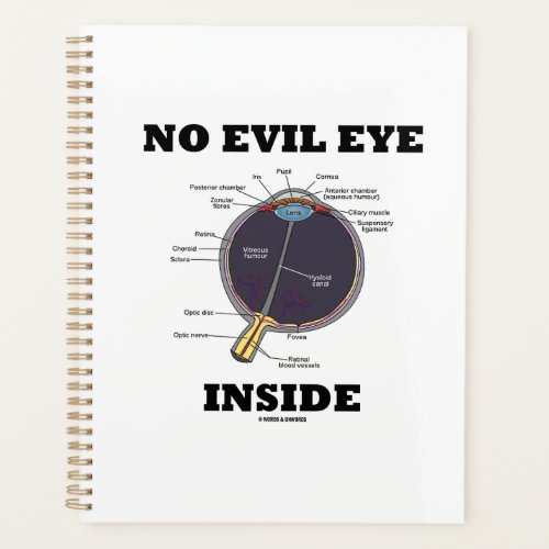 No Evil Eye Inside Anatomical Eyeball Humor Planner