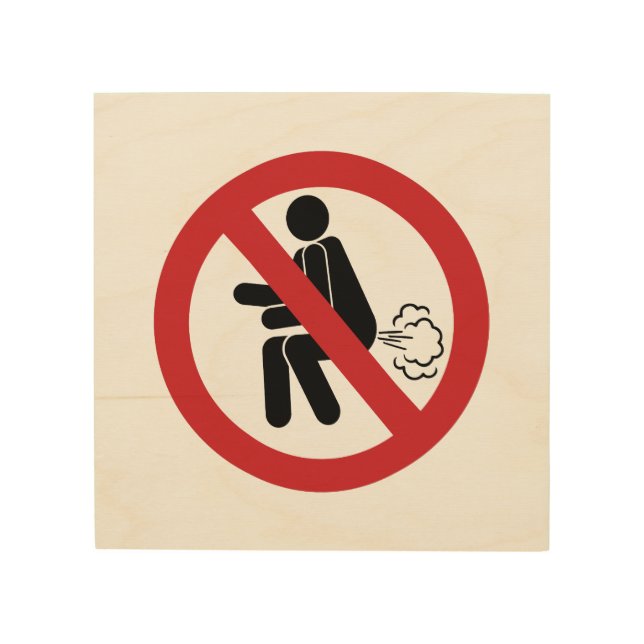 NO Farting ⚠ Funny Thai Toilet Sign ⚠ (Front)