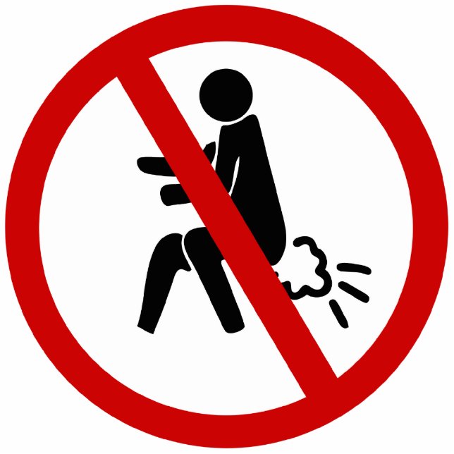 NO Farting ⚠ Funny Thai Toilet Sign ⚠ Cutout (Front)