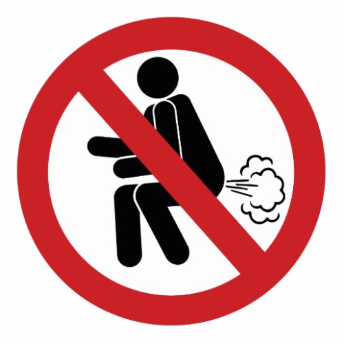 NO Farting  Funny Thai Toilet Sign  Cutout