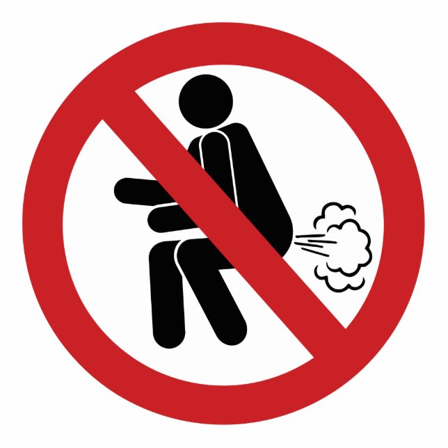 NO Farting ⚠ Funny Thai Toilet Sign ⚠ Cutout (Front)