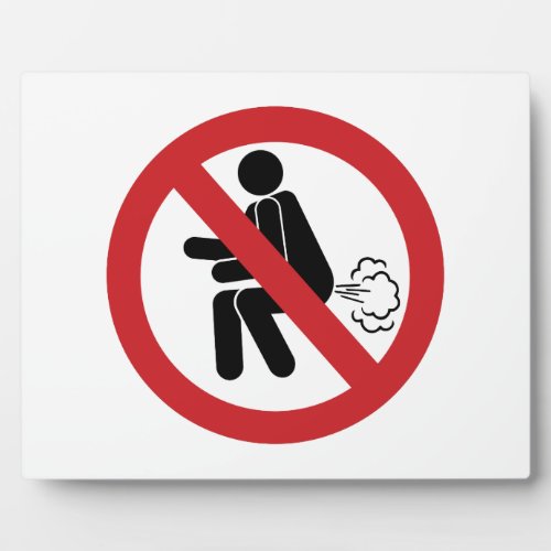 NO Farting  Funny Thai Toilet Sign  Plaque